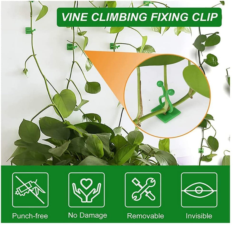 Plant Climbing Self Adhesive Wall Clips [30/60 Clips Set]