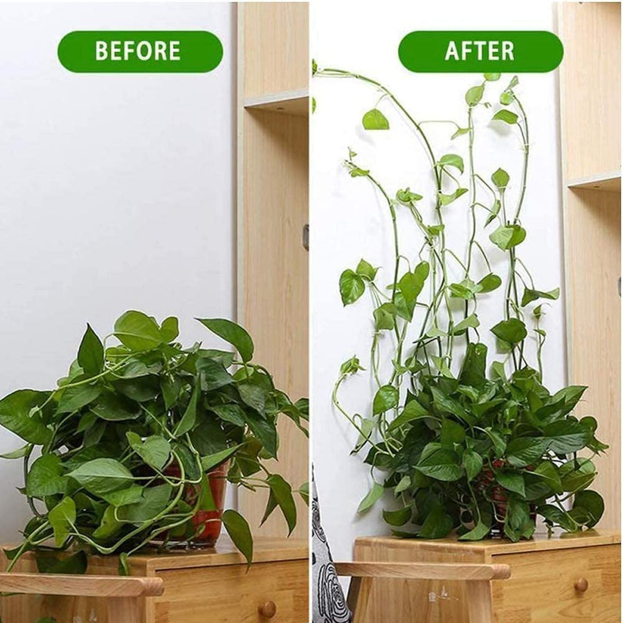 Plant Climbing Self Adhesive Wall Clips [30/60 Clips Set]