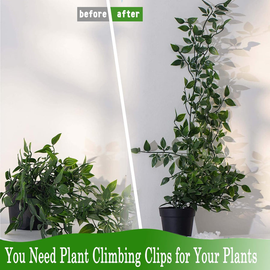 Plant Climbing Self Adhesive Wall Clips [30/60 Clips Set]